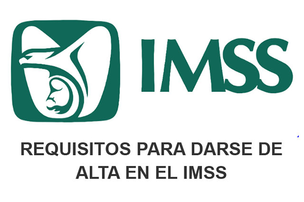 Requisitos de registro en el IMSS