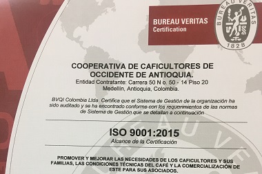 Certificado ISO-9001-3
