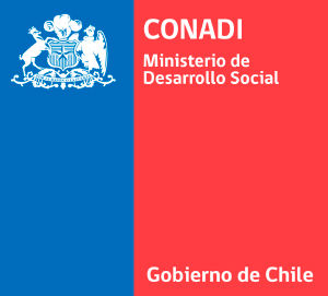 Resultado de la imagen para la CERTIFICACIÓN de DIFERENT ETNIE CHILE